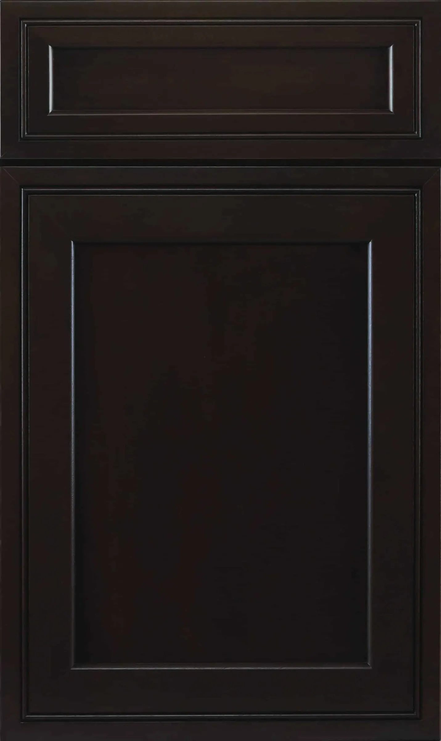 Dark espresso-brown chestnut raised-panel door with applied molding