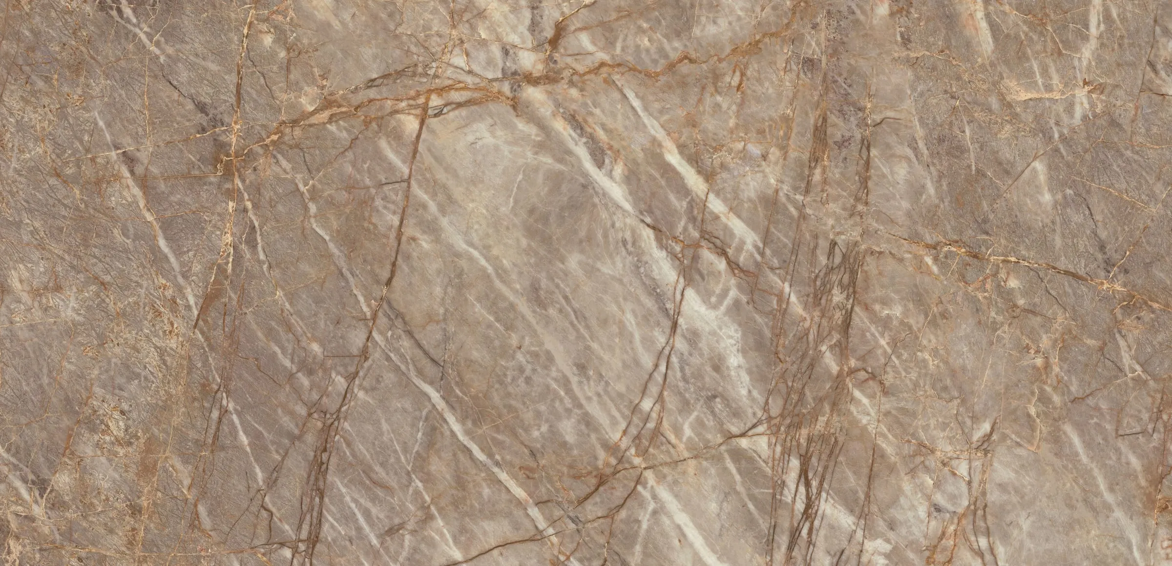 Natural Roots porcelain slab, full-surface swatch