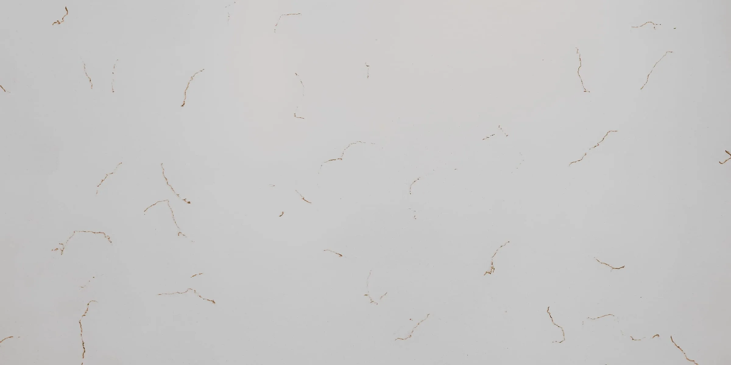 Carrara Gold quartz slab, full-surface swatch