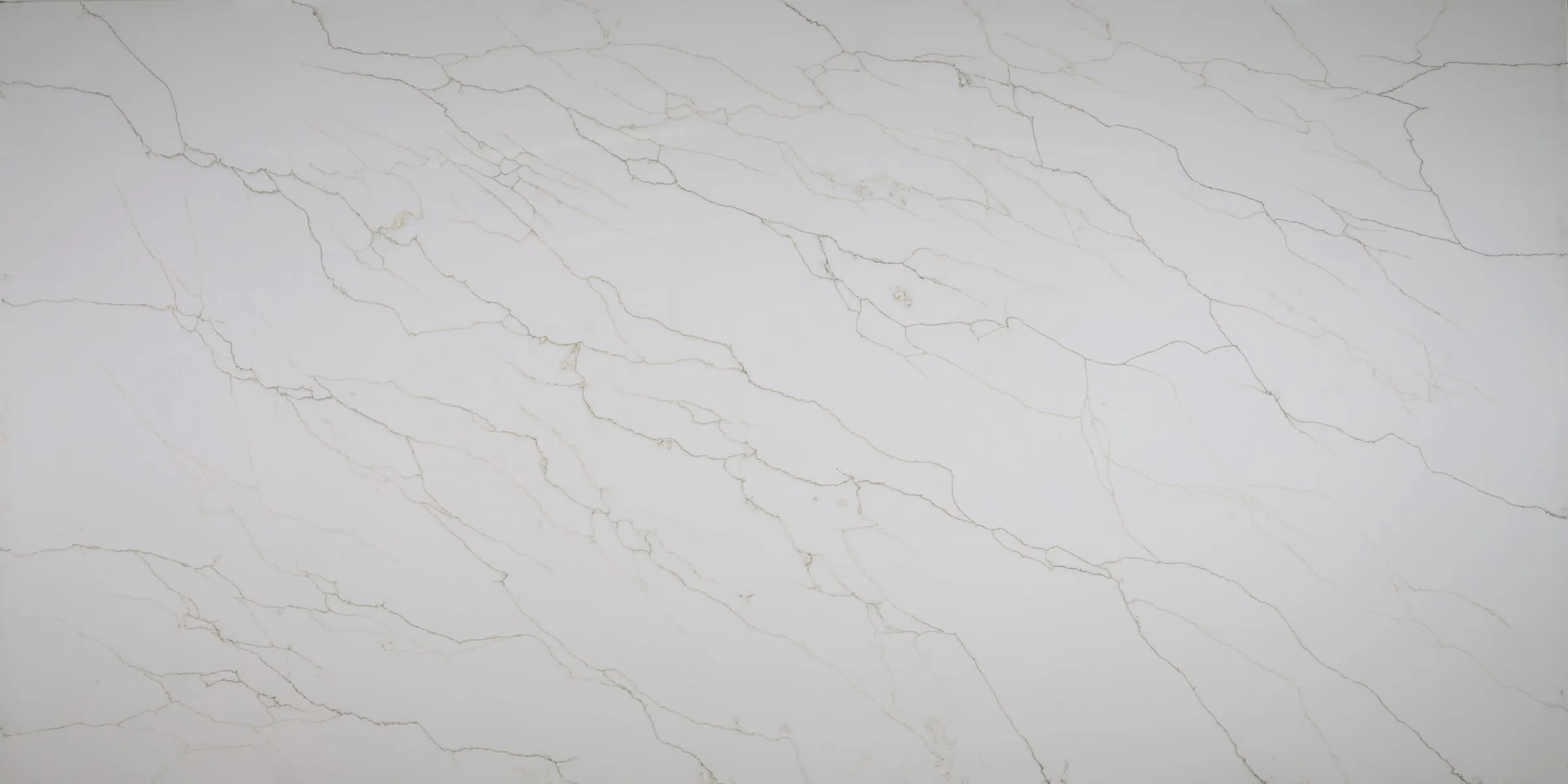 Roma Calacatta quartz slab, full-surface swatch