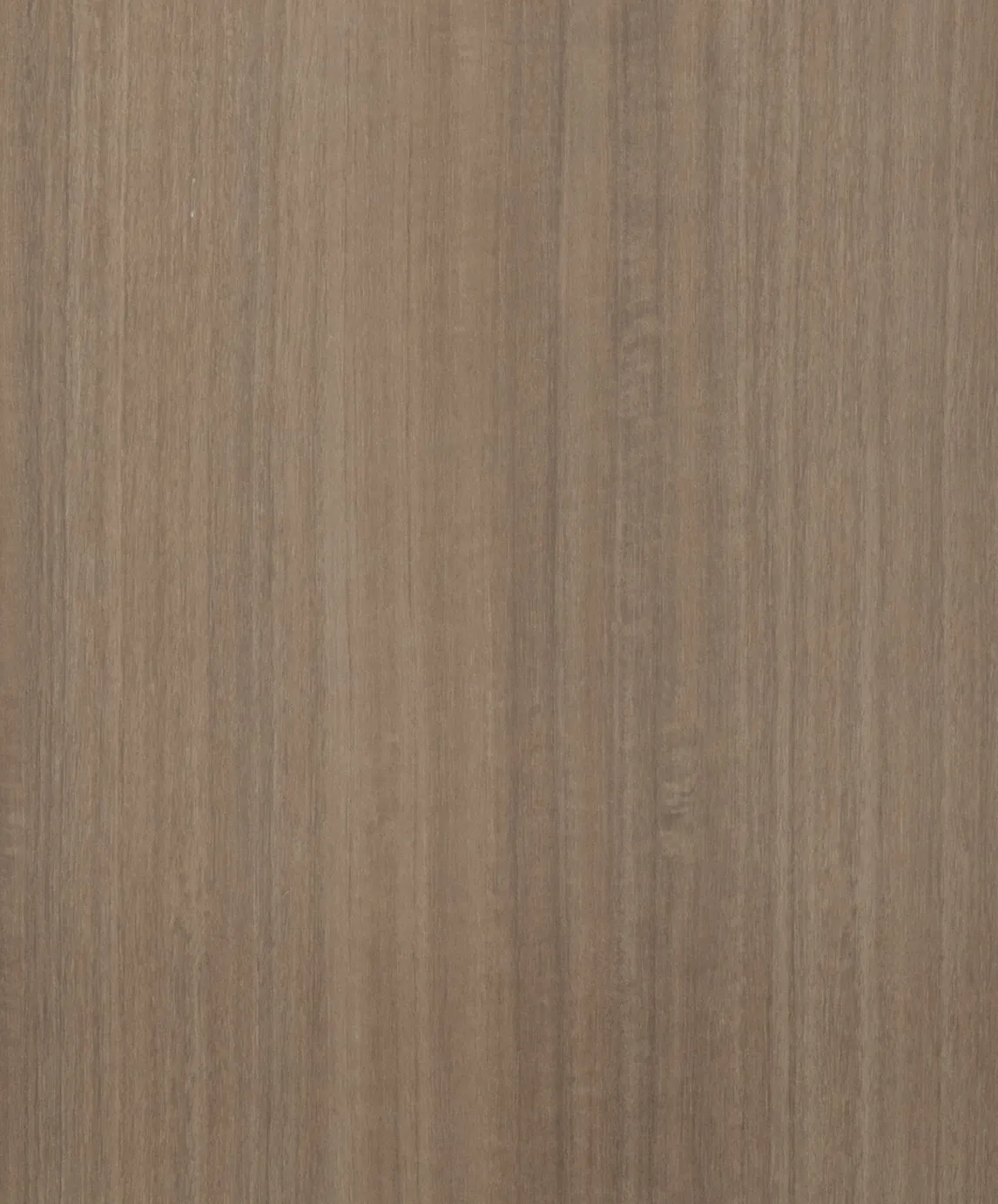 Walnut Light melamine swatch with soft brown vertical wood grain